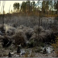 **** :: Aleksandr Gal