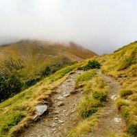 Поход по горам (1) :: Георгий А Поход по горам (1) :: Георгий А