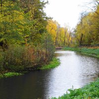 Ноябрь :: Рита Симонова