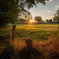 Закат над полем... :: Николай Гирш