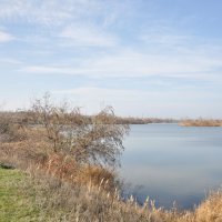 **** :: Виктор 