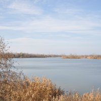 **** :: Виктор 