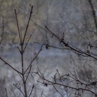 Осень :: Тамара Федорова