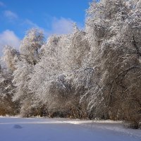 *** :: Владимир 