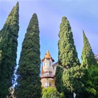 Дача А. В. Якобсона . 1902г. :: Tata Wolf Дача А. В. Якобсона . 1902г. :: Tata Wolf