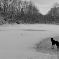 Первый лёд!!! :: Радмир Арсеньев