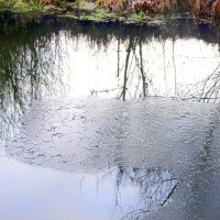 Первый лёд. :: Вячеслав. Синицын