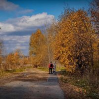 "Поржавела осень. У рощи"© :: Владимир Макаров