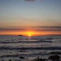 Прогулочный. :: Александр 