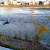 Адлер :: Нина Бутко