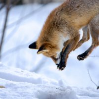 В моменте :: Виктория 