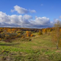 Палитра октября... :: Владимир Жданов
