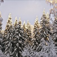 Ноябрь в Сибири :: Валентина * Ноябрь в Сибири :: Валентина *