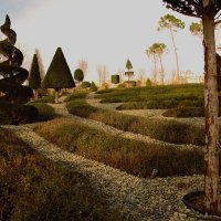 Елки в треугольных платьях. :: Юрий Полторыхин.