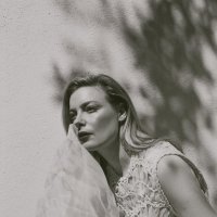 *** :: Александр Змеев