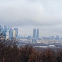 Вид с Воробьевых гор. :: Ольга 