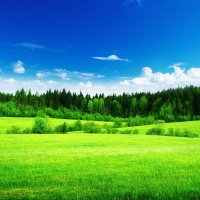 Летний пейзаж... :: Валерий Кокорев