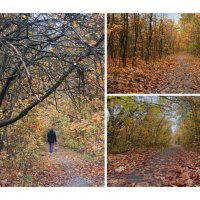 тропинки :: Лера тропинки :: Лера