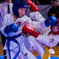 ТХЭКВОНДО :: arkadii 