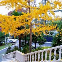 Ноябрь :: Tata Wolf