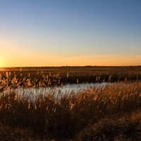 Утро. :: Александр 