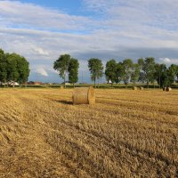 Яркое лето :: Ольга Яркое лето :: Ольга