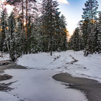 Осенняя дорога :: Vladimbormotov