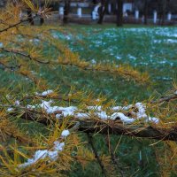 Осенний Сюжет :: юрий поляков