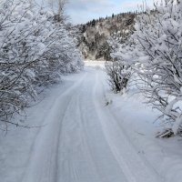 Снежная сказка!!! :: Радмир Арсеньев