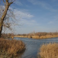 **** :: Виктор 