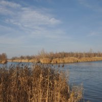 **** :: Виктор 