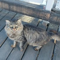 Almaty. :: Murat Bukaev