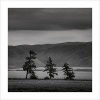 * :: Александр Иванов