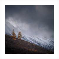 * :: Александр Иванов