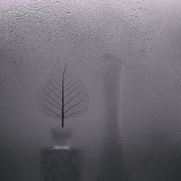 Дождь :: Кулишев Николай 