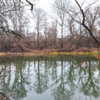 Ноябрьский пейзаж :: Наталья 