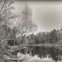 *** :: Mithun . *** :: Mithun .