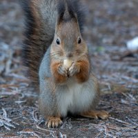 *** :: Viktor Makarov *** :: Viktor Makarov