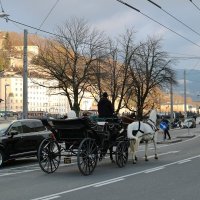 прогулка :: Светлана Баталий