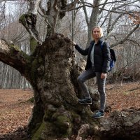 Древесная локация... :: Дмитрий А