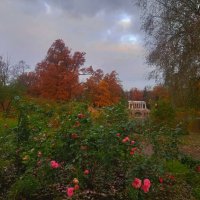 Рассвет :: Сапсан 