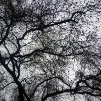 О сложностях жизни :: Андрей Лукьянов