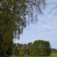 МИХАЙЛОВСКОЕ. :: Виктор Осипчук