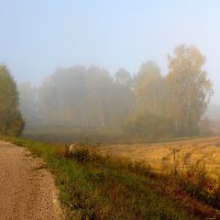 Осенний туман. :: nadyasilyuk Вознюк