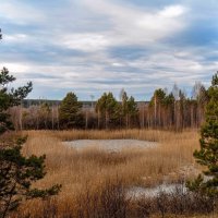 Хмурый ноябрь ) :: Елена Хайдукова ( Elena Fly )