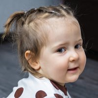 Белка. :: Валерий Пославский