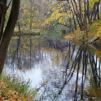 Ноябрьский пейзаж :: Рита Симонова Ноябрьский пейзаж :: Рита Симонова