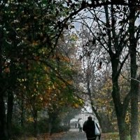 Утро... город... туман... :: Николай Саржанов