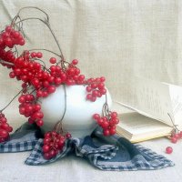 .. :: TAMARA КАДАНОВА