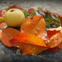 О природных натюрмортах осени... :: Андрей Заломленков